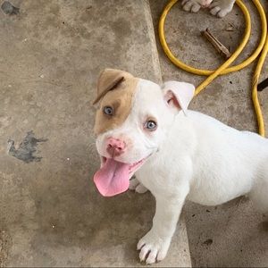 Meet your Posher, Eli